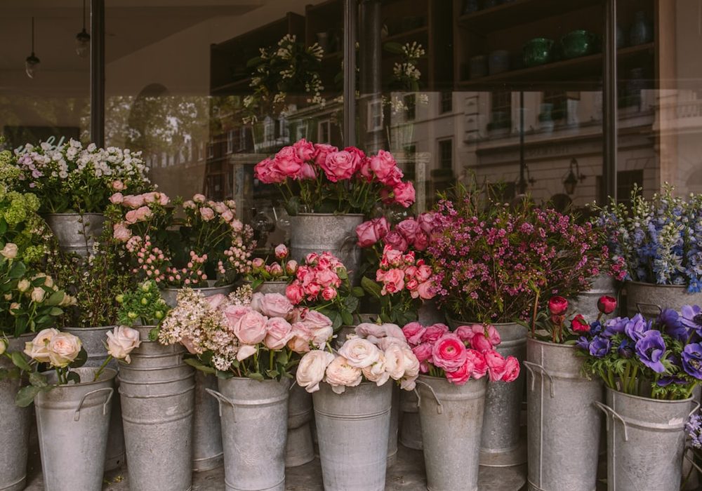Floristería en Anoeta