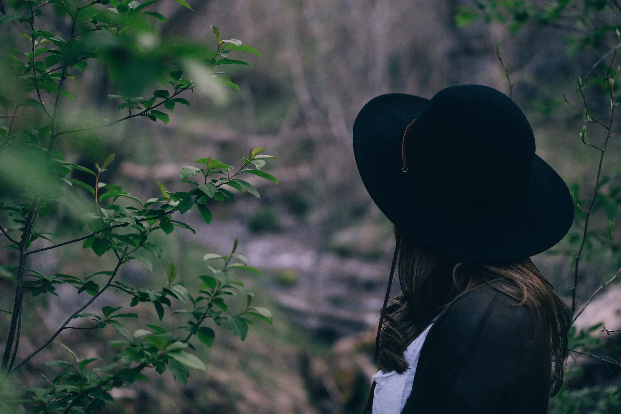 Mujer con sombrero negro entre ramas verdes, de perfil y de espaldas